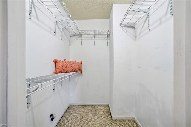 1113 Nipigon CT, Virginia Beach, VA 23454