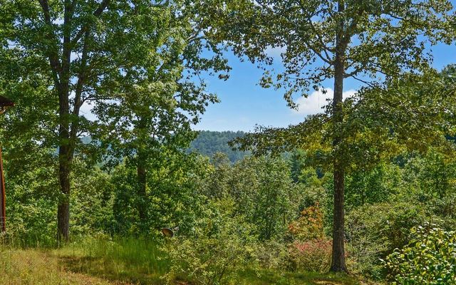36 Dwaynes Trail, Murphy, NC 28906