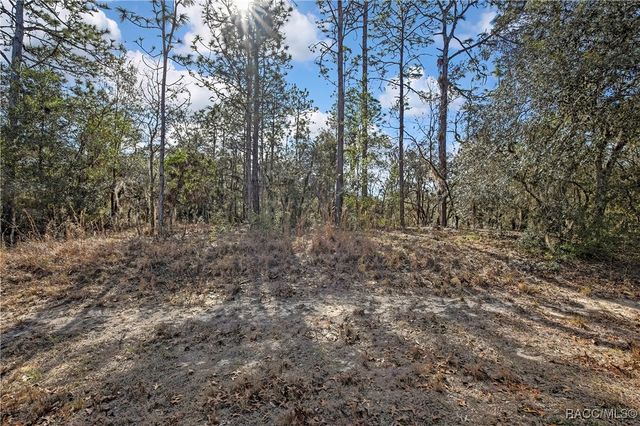 3921 N Longvalley Road, Hernando, FL 34442