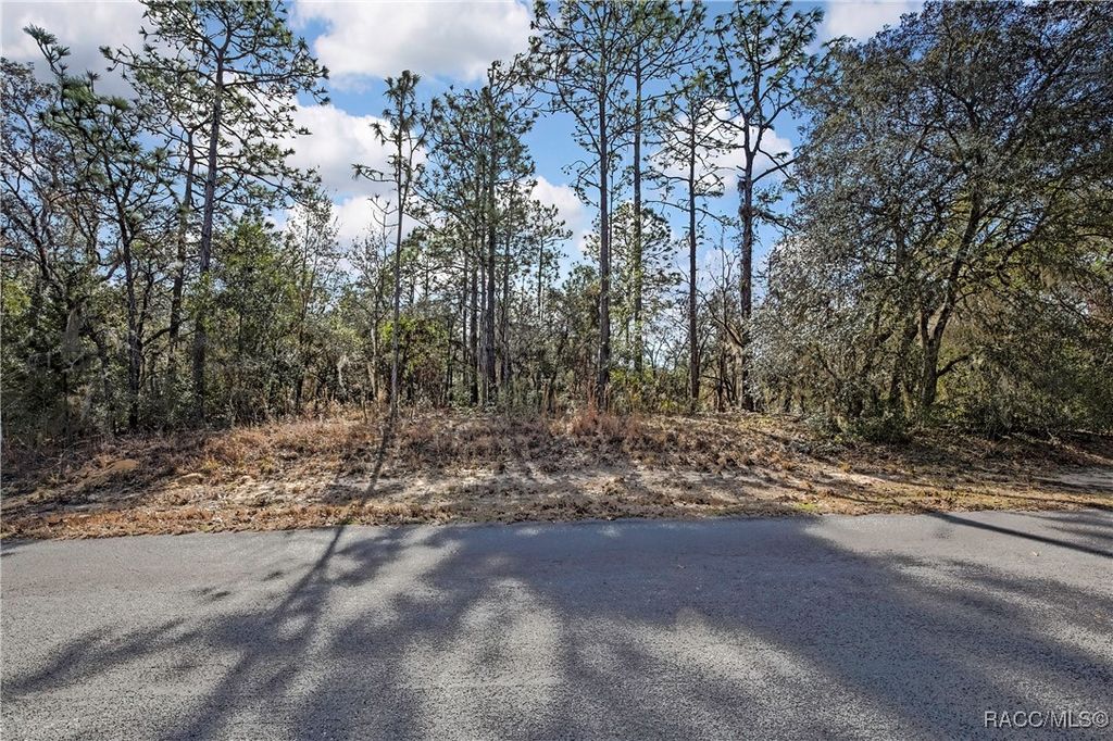 3921 N Longvalley Road, Hernando, FL 34442