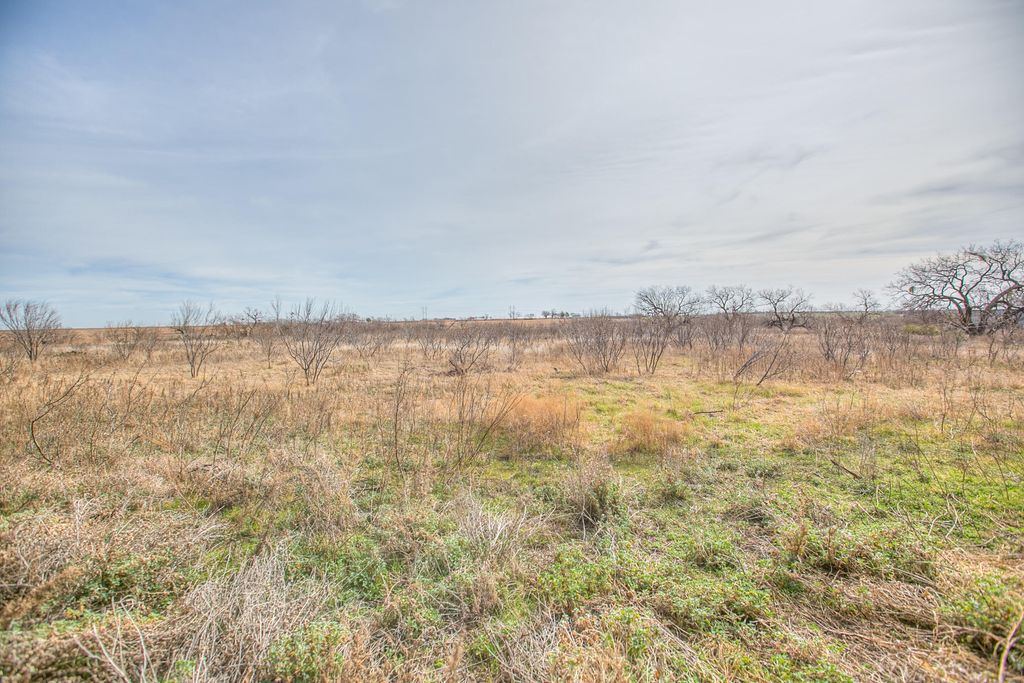 Image 26 of property listing at 17342 Farm To Market 1929, Miles, TX 76861