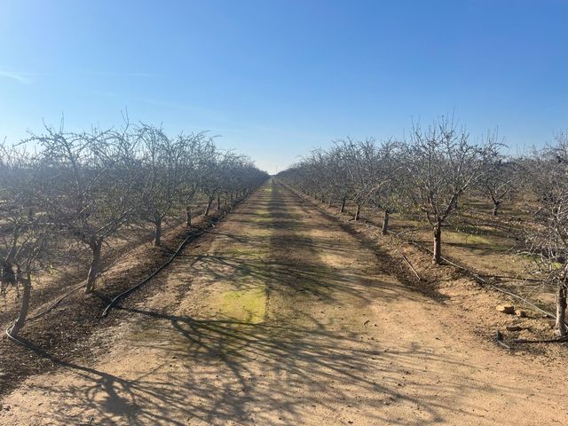 25012 Avenue 24, Chowchilla, CA 93610