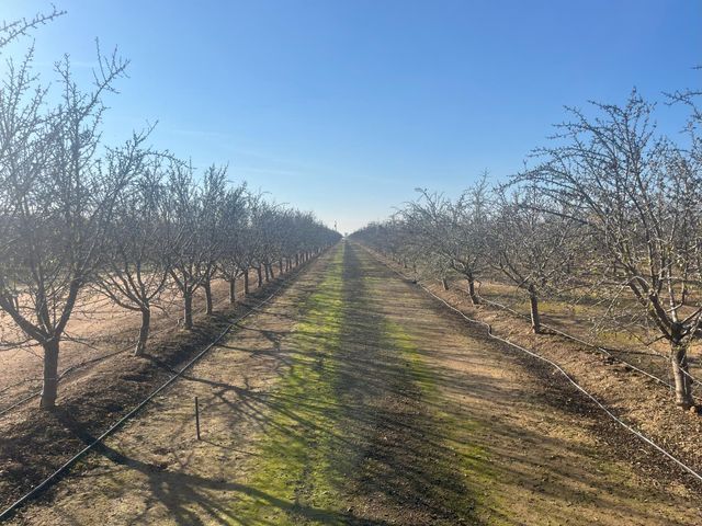 25012 Avenue 24, Chowchilla, CA 93610