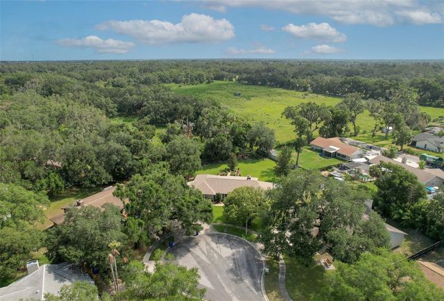 2102 WHITLOCK PLACE, Dover, FL 33527