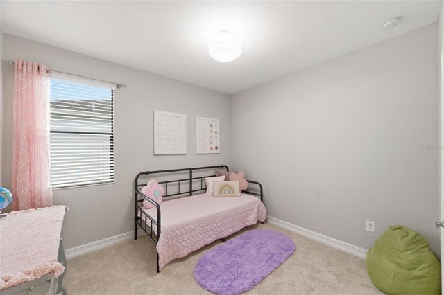 29211 PERILLI PLACE, Wesley Chapel, FL 33543