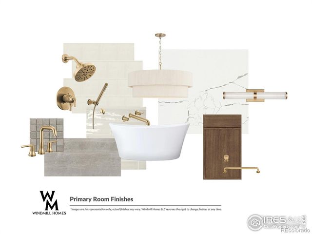 166 Blue Fortune Drive, Windsor, CO 80550