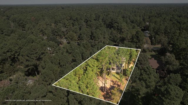 22403 Meadowsweet Drive, Magnolia, TX 77355