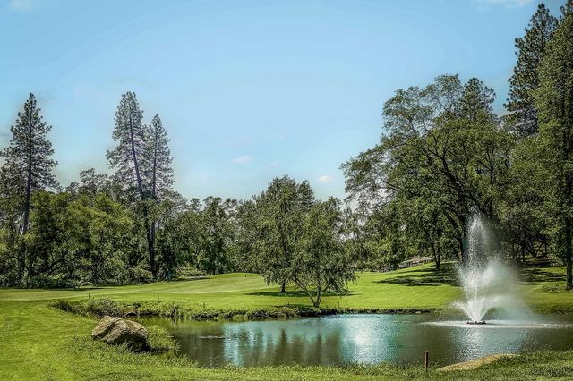 17678 Minnow Way, Penn Valley, CA 95946