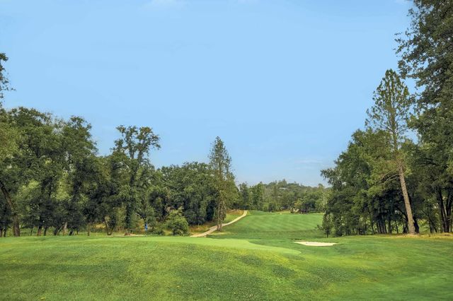 17678 Minnow Way, Penn Valley, CA 95946