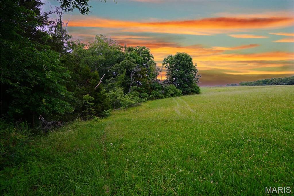 Image 11 of property listing at 10 Acres S. Highway 19, Hermann, MO 65041
