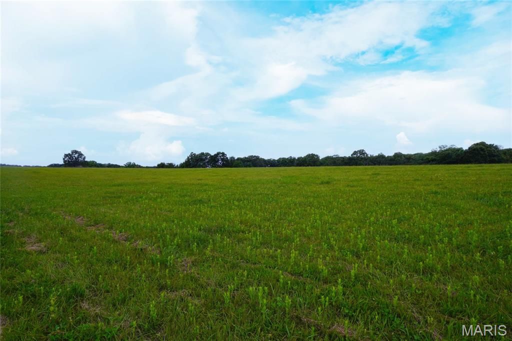 Image 21 of property listing at 10 Acres S. Highway 19, Hermann, MO 65041