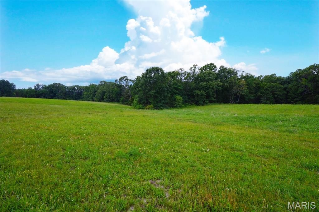 Image 25 of property listing at 10 Acres S. Highway 19, Hermann, MO 65041