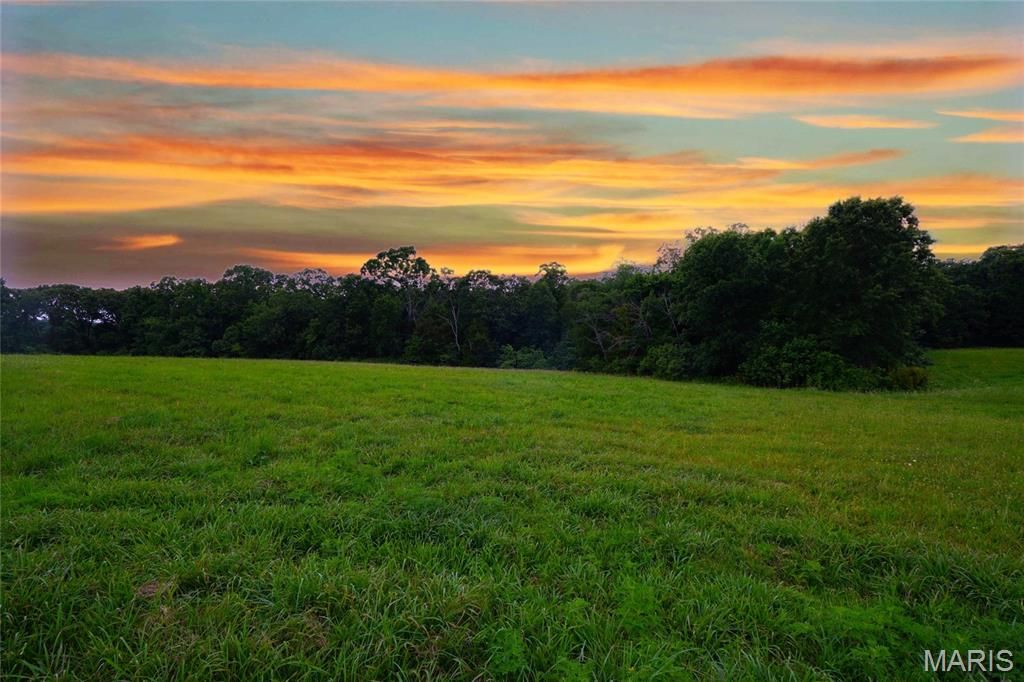 Image 7 of property listing at 10 Acres S. Highway 19, Hermann, MO 65041