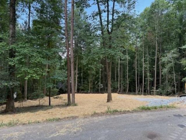 LOT 195 Shenendoa Dr., Ellijay, GA 30540
