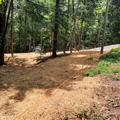 LOT 195 Shenendoa Dr., Ellijay, GA 30540