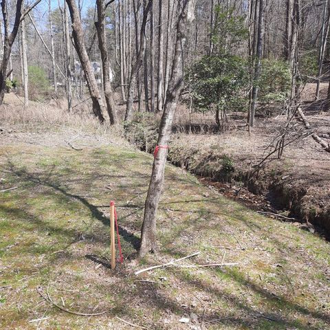 LOT 195 Shenendoa Dr., Ellijay, GA 30540