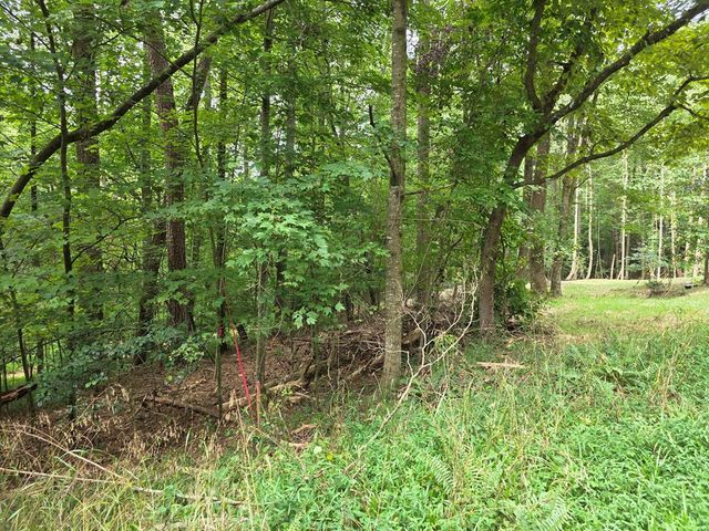 LOT 195 Shenendoa Dr., Ellijay, GA 30540