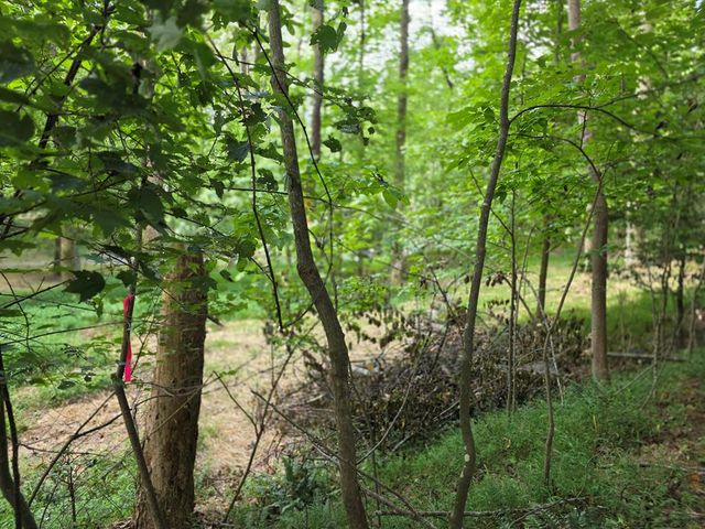 LOT 195 Shenendoa Dr., Ellijay, GA 30540