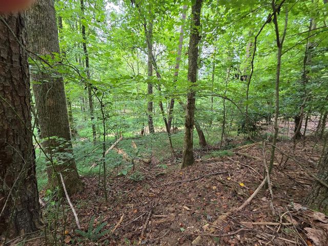 LOT 195 Shenendoa Dr., Ellijay, GA 30540