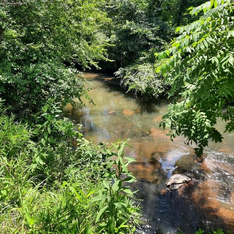 LOT 195 Shenendoa Dr., Ellijay, GA 30540