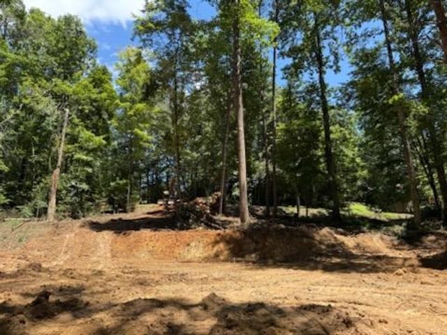 LOT 195 Shenendoa Dr., Ellijay, GA 30540