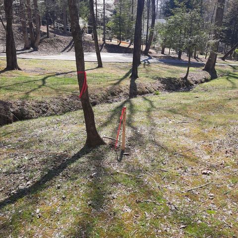 LOT 195 Shenendoa Dr., Ellijay, GA 30540