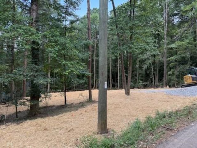 LOT 195 Shenendoa Dr., Ellijay, GA 30540