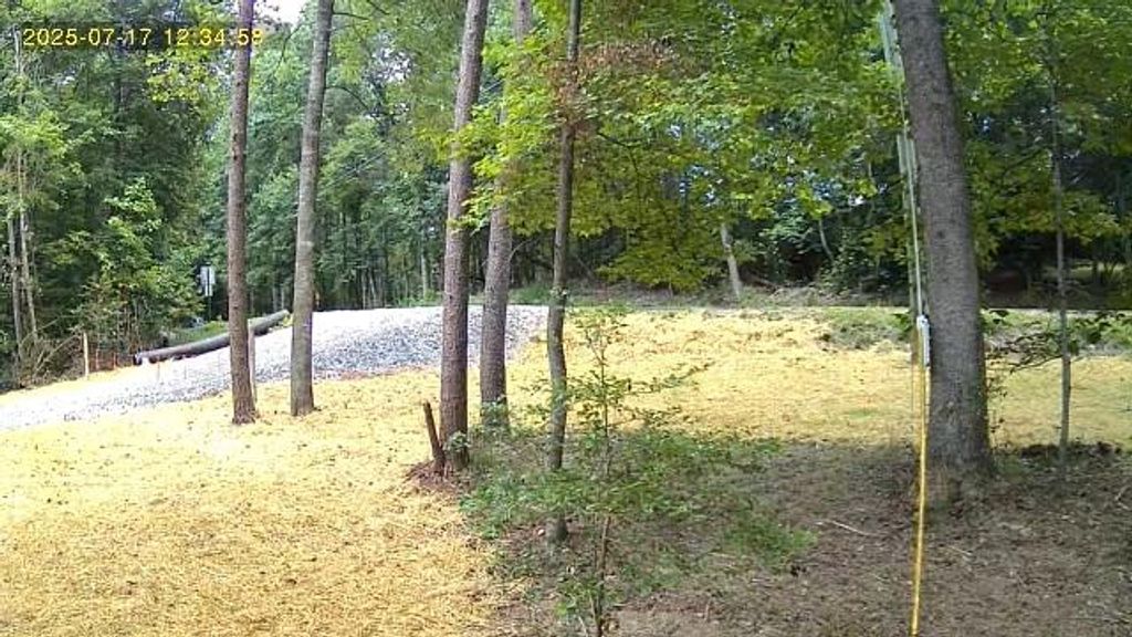 LOT 195 Shenendoa Dr., Ellijay, GA 30540