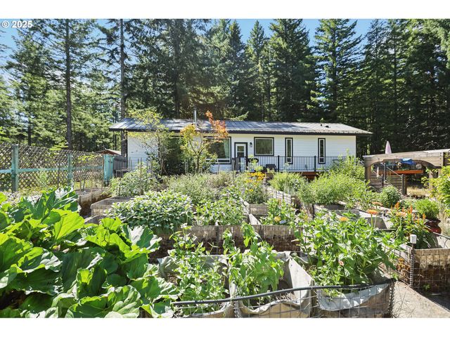 11 EDGEWATER Dr, Carson, WA 98610