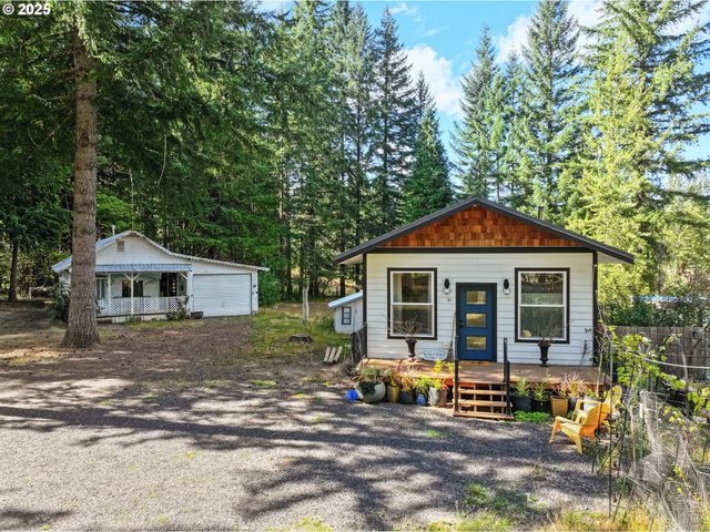 11 EDGEWATER Dr, Carson, WA 98610