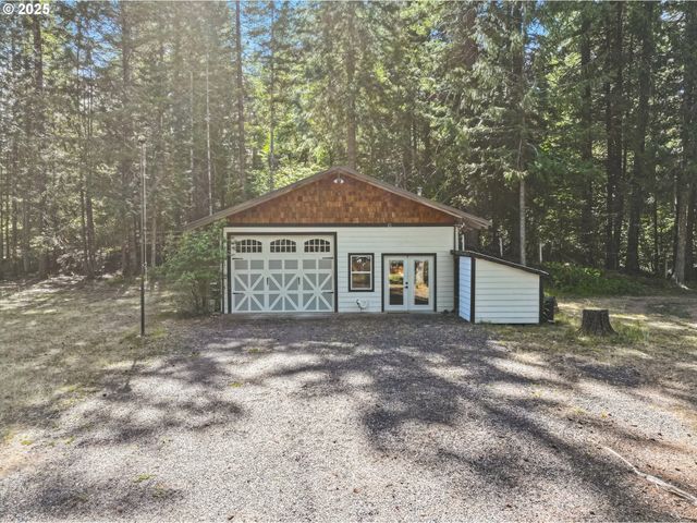 11 EDGEWATER Dr, Carson, WA 98610