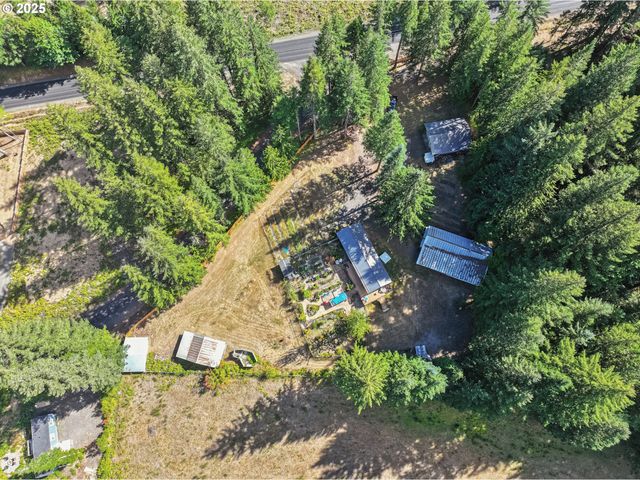 11 EDGEWATER Dr, Carson, WA 98610