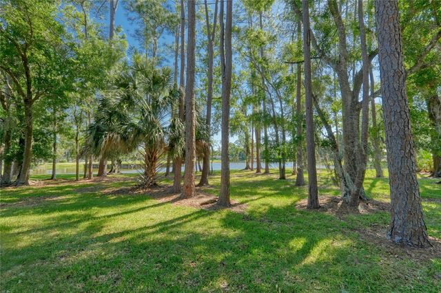 15501 KINGSMILL PLACE, Odessa, FL 33556