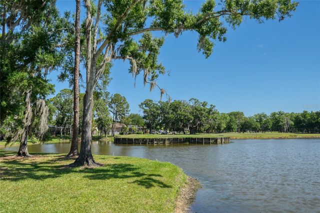 15501 KINGSMILL PLACE, Odessa, FL 33556