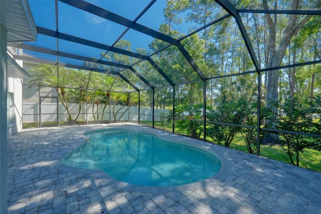 15501 KINGSMILL PLACE, Odessa, FL 33556
