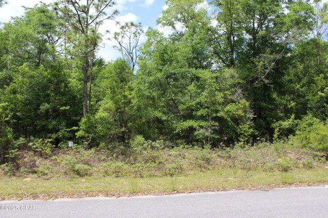 Lot 18 Arnone Lane, Chipley, FL 32428