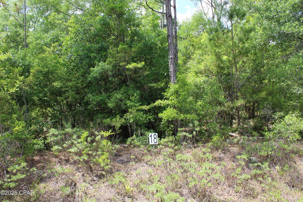 Lot 18 Arnone Lane, Chipley, FL 32428