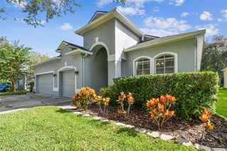 19215 MEADOW PINE DRIVE, Tampa, FL 33647