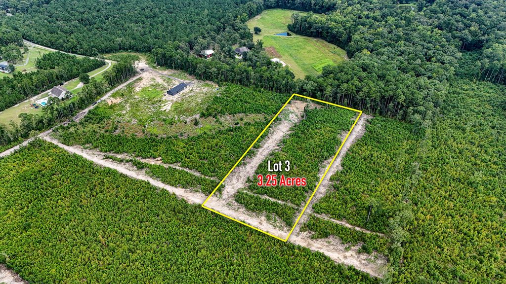 Image 1 of property listing at 00 County Road, Summerville, SC 29483