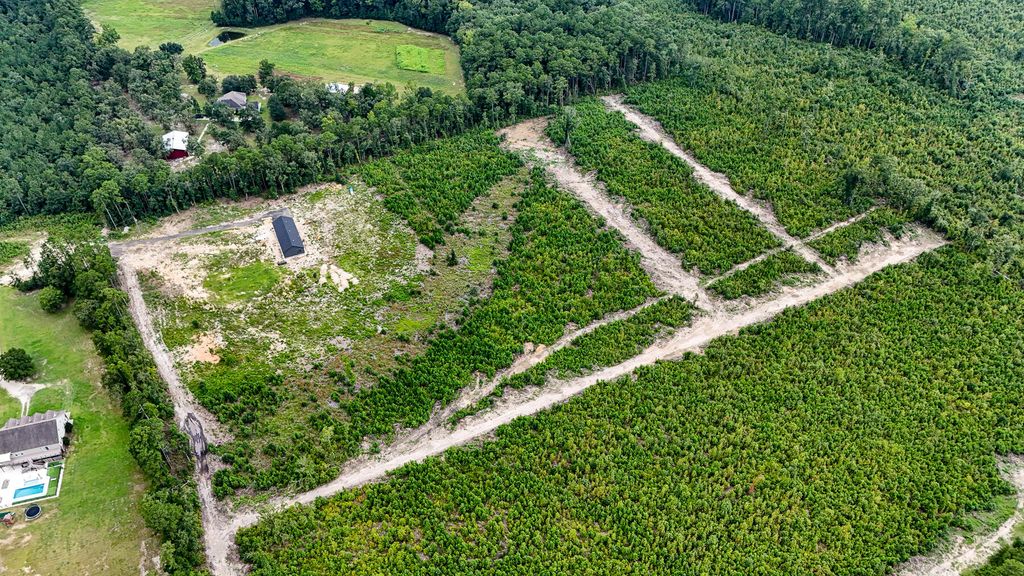 Image 5 of property listing at 00 County Road, Summerville, SC 29483