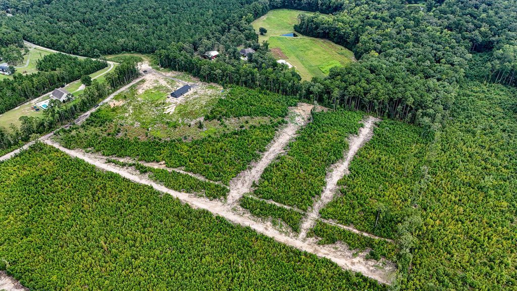 Image 6 of property listing at 00 County Road, Summerville, SC 29483