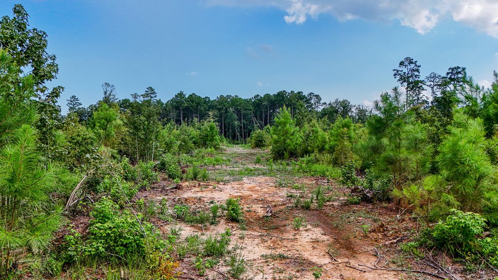 Image 7 of property listing at 00 County Road, Summerville, SC 29483