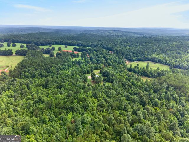 343 Torbet Drive, Forsyth, GA 31029