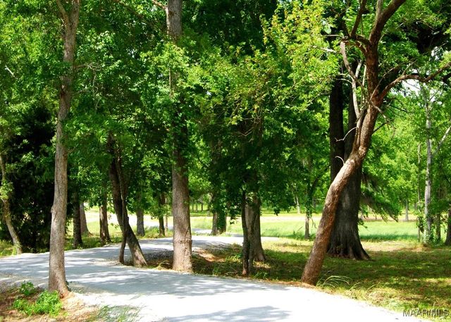 3900 TURNING LEAF Loop, Montgomery, AL 36116