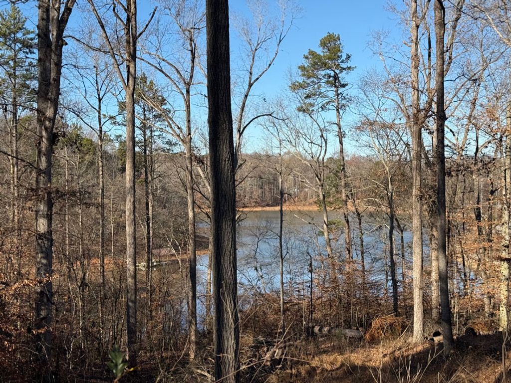 0 View Point Place, Lavonia, GA 30553