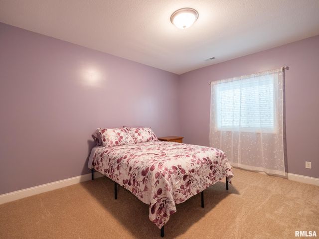 11216 N Blackstone Court, Dunlap, IL 61525