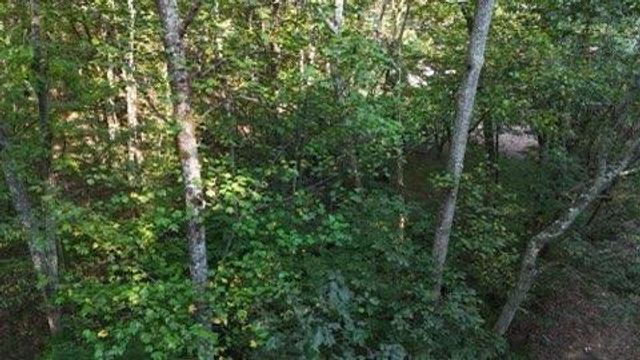 000 Lower River Road NW, Georgetown, TN 37336