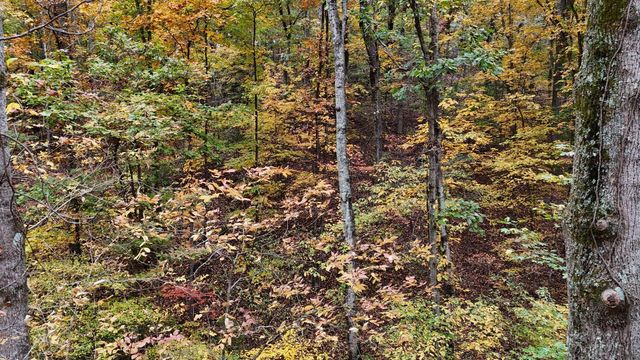 000 Lower River Road NW, Georgetown, TN 37336