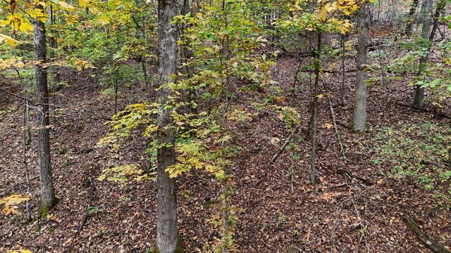 000 Lower River Road NW, Georgetown, TN 37336