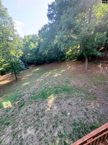604 Winding Hickory Court, Blythewood, SC 29016